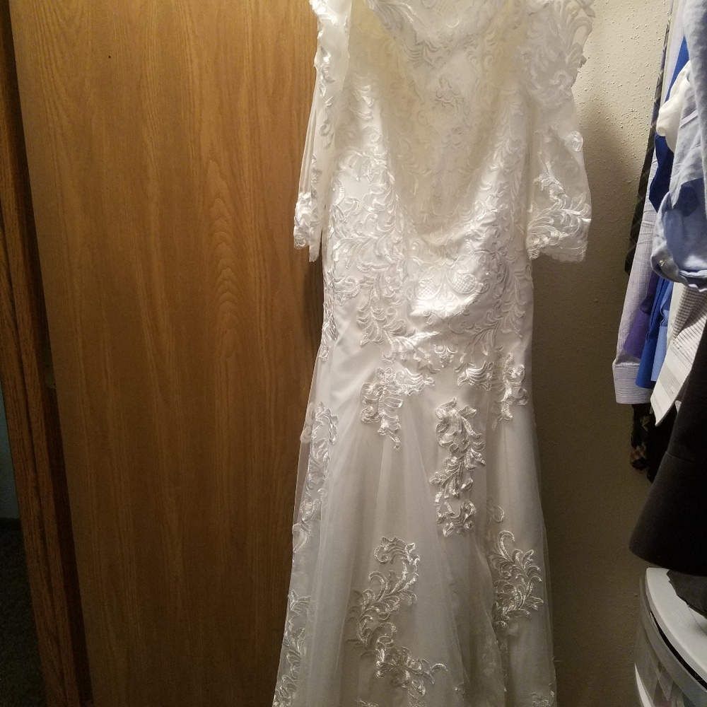 Wedding Dress and matching veil